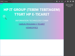 WEB EDİTÖR 
