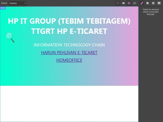 WEB EDİTÖR - 0