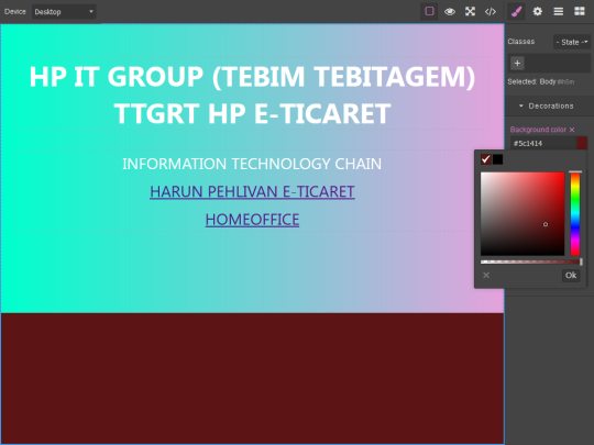 WEB EDİTÖR - 2