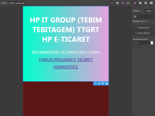 WEB EDİTÖR - 4